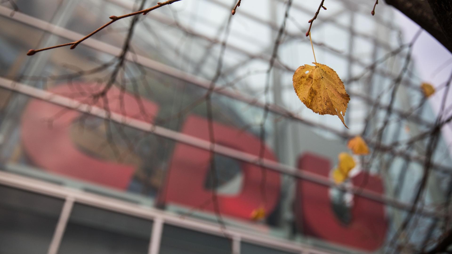 Ein einzelnes Blatt hängt an einem Zweig vor der CDU-Parteizentrale in Berlin. Ein einzelnes Blatt hängt an einem Zweig vor der CDU-Parteizentrale in Berlin.